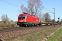 Siemens 20530 - ÖBB "1116 101"
01.04.2019 - Natrup Hagen
Heinrich Hölscher