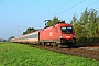 Siemens 20530 - ÖBB "1116 101"
11.10.2025 - Dieburg Ost
Kurt Sattig