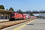 Siemens 20531 - ÖBB "1116 102"
05.09.2016 - České Velenice
František Kozel