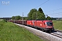 Siemens 20538 - ÖBB "1116 109-8"
19.05.2011 - Frankenmarkt
Martin Radner