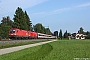 Siemens 20538 - ÖBB "1116 109"
29.08.2013 - Prien am Chiemsee
Marius Segelke