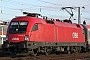 Siemens 20539 - ÖBB "1116 110-6"
24.01.2009 - Mannheim-Friedrichsfeld
Wolfgang Mauser