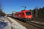 Siemens 20543 - ÖBB "1116 114"
27.01.2017 - Nürnberg-Fischbach
Paul Tabbert