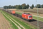 Siemens 20544 - ÖBB "1116 115-5"
18.09.2010 - Straubing-Alburg
Leo Wensauer