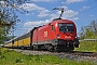 Siemens 20544 - ÖBB "1116 115"
05.05.2016 - Karlstadt (Main)
Marcus Schrödter