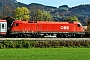 Siemens 20547 - ÖBB "1116 118"
25.10.2013 - Niederaudorf
Jens Bieber