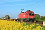 Siemens 20552 - ÖBB "1116 123"
03.05.2023 - Dieburg Ost
Kurt Sattig