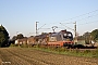 Siemens 20558 - LOCON "242.502"
02.10.2015 - Kamen-Westick
Ingmar Weidig