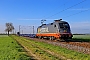 Siemens 20558 - Hector Rail "242.502"
26.04.2023 - Bobenheim-Roxheim
Wolfgang Mauser