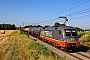 Siemens 20558 - HLG "242.502"
10.07.2025 - Heddesheim
Wolfgang Mauser