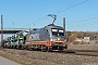 Siemens 20559 - Hector Rail "242.503"
15.02.2019 - Retzbach-ZellingenTobias Schubbert