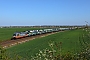 Siemens 20559 - Hector Rail "242.503"
21.04.2020 - ZeithainDaniel Berg