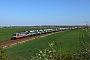 Siemens 20559 - Hector Rail "242.503"
21.04.2020 - Zeithain
Daniel Berg