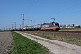 Siemens 20560 - Hector Rail "242.504"
17.04.2020 - Braunschweig-TimmerlahSean Appel