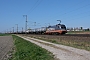 Siemens 20560 - Hector Rail "242.504"
17.04.2020 - Braunschweig-Timmerlah
Sean Appel