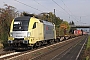 Siemens 20562 - TXL "ES 64 U2-006"
23.10.2010 - Großsachsen-Heddesheim
Wolfgang Mauser