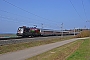 Siemens 20565 - DB Fernverkehr "182 509-0"
02.04.2016 - Stadelhofen
Marcus Schrödter