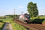 Siemens 20565 - Hector Rail "ES 64 U2-009"
28.05.2017 - PoppenburgSebastian Bollmann