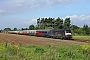 Siemens 20566 - TXL "ES 64 U2-010"
17.08.2014 - Bruchmühlbach-Miesau
Nicolas Hoffmann