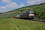 Siemens 20566 - TXL "ES 64 U2-010"
10.06.2016 - Thüngersheim
Holger Grunow