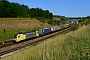 Siemens 20567 - TXL "ES 64 U2-011"
10.07.2013 - Lübeck-Hafen
Krisztián Balla