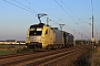 Siemens 20568 - TXL "ES 64 U2-012"
17.10.2010 - Teutschenthal, Ost
Nils Hecklau