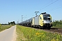 Siemens 20568 - TXL "ES 64 U2-012"
23.07.2012 - Meerbusch
Ronnie Beijers