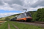Siemens 20572 - Hector Rail "242.516"
26.04.2018 - Thüngersheim
Wolfgang Mauser