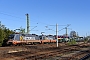Siemens 20572 - Hector Rail "242.516"
19.04.2020 - Coswig (bei Dresden)
Rolf Geilenkeuser