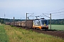 Siemens 20572 - Hector Rail "242.516"
15.06.2011 - Marxen
René Haase