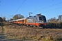 Siemens 20573 - Hector Rail "242.517"
08.01.2018 - Lehrte-Ahlten
Marcus Schrödter