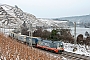 Siemens 20573 - Hector Rail "242.517"
26.01.2013 - Winningen (Mosel)
Michael Rex