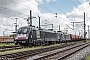Siemens 20574 - NIAG "ES 64 U2-018"
09.05.2017 - Oberhausen, Rangierbahnhof West
Rolf Alberts
