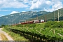 Siemens 20670 - RTC "189 904"
07.07.2018 - Ala
Riccardo  Fogagnolo