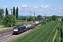 Siemens 20695 - TXL "ES 64 F4-094"
11.08.2016 - Müllheim (Baden)
Vincent Torterotot