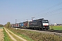 Siemens 20701 - SBB Cargo "ES 64 F4-096"
10.04.2020 - Buggingen
Tobias Schmidt