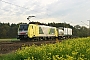 Siemens 20723 - NORDCARGO "ES 64 F4-093"
09.11.2005 - Graben-Neudorf
Daniel Berg