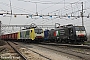 Siemens 20723 - NORDCARGO "ES 64 F4-093"
26.01.2013 - Cavatigozzi -Cr-
Ferdinando Ferrari