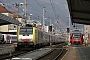 Siemens 20732 - NORDCARGO "ES 64 F4-088"
24.01.2010 - Innsbruck
Brian Daniels