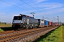 Siemens 20734 - SBB Cargo "ES 64 F4-089"
26.04.2023 - Bobenheim-Roxheim
Wolfgang Mauser