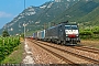 Siemens 20735 - Lokomotion "ES 64 F4-009"
20.07.2019 - Borghetto
Riccardo Fogagnolo