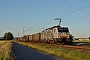 Siemens 20736 - SBB Cargo "ES 64 F4-090"
13.06.2019 - Babenhausen
Linus Wambach