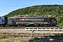 Siemens 20739 - SBB Cargo "ES 64 F4-091"
18.07.2024 - Effingen
Peider Trippi