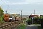 Siemens 20739 - NIAG "ES 64 F4-091"
20.10.2012 - Bonn-Beuel
Daniel Michler