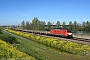 Siemens 20741 - DB Cargo "189 051-6"
11.04.2020 - Opheusden
Richard Krol