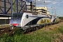 Siemens 20742 - RAIL ONE "474 101"
21.06.2012 - Mannheim Hauptbahnhof
Ernst Lauer