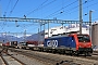 Siemens 20746 - SBB Cargo "474 003"
20.03.2016 - Cadenazzo
Theo Stolz