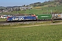 Siemens 20746 - SBB Cargo "474 003"
23.03.2022 - Frick
Peider Trippi