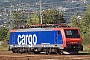 Siemens 20759 - SBB Cargo "E 474-009 SR"
05.08.2009 - Domodossola
Ingmar Weidig