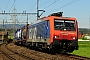 Siemens 20759 - SBB Cargo "474 009"
21.04.2017 - Oberrüti
Peider Trippi